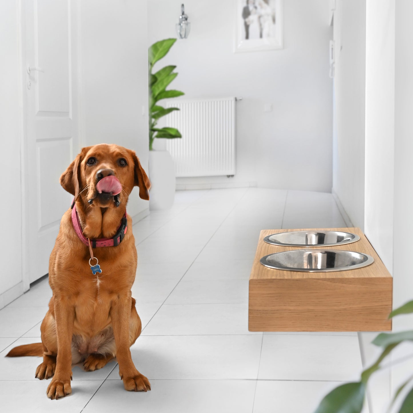 Wooden Elevated Dog Bowl Stand, 3 Sizes for Dogs and Cats