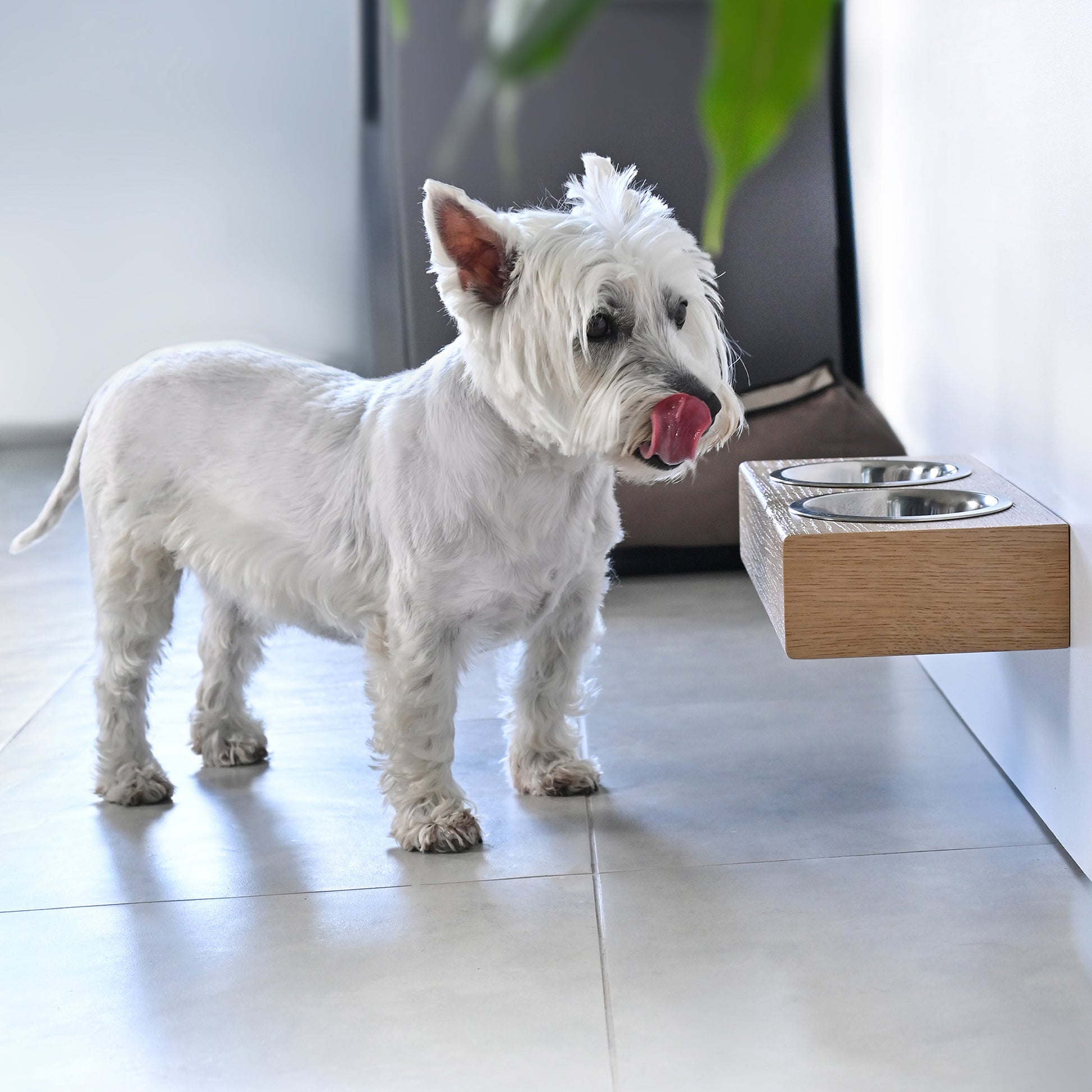 Raised Double Dog Bowl Stand - Stainless Steel Feeder With Bowls, 26x14x8.5cm For Small To Medium Dogs